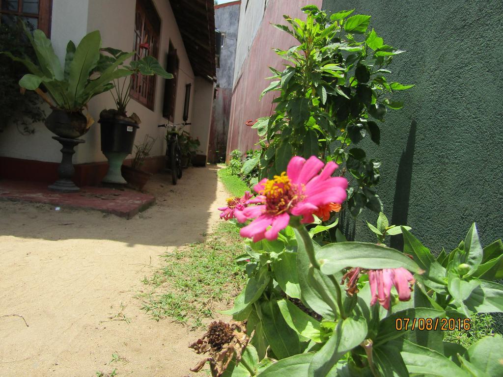 New Sea Lion Guest House Хикадува Екстериор снимка